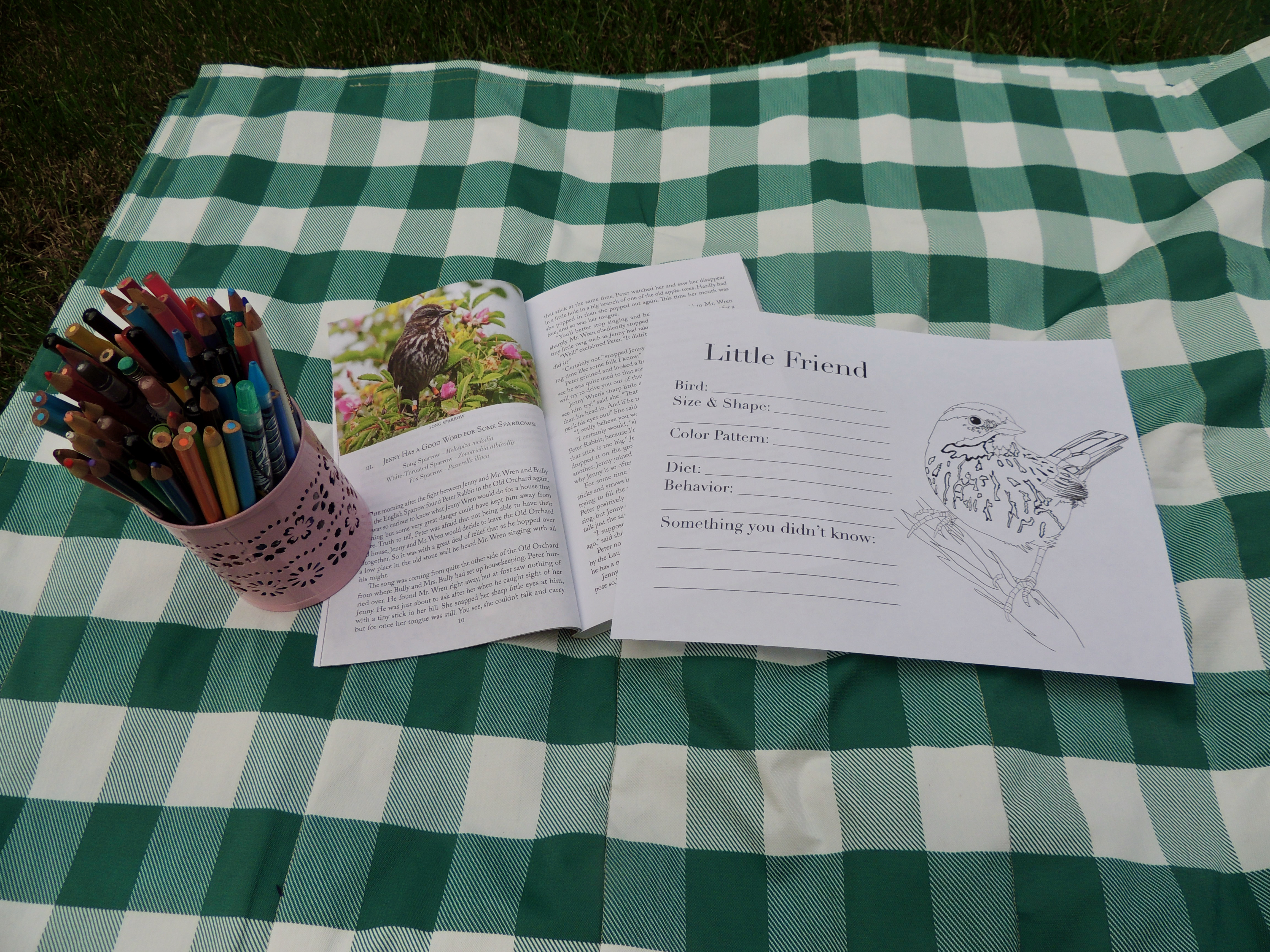 The Burgess Bird Book For Children Around The Spinney And Sea